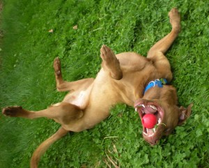 Look at those pearly whites!