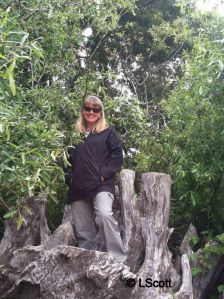 Lauren Inverness 2013