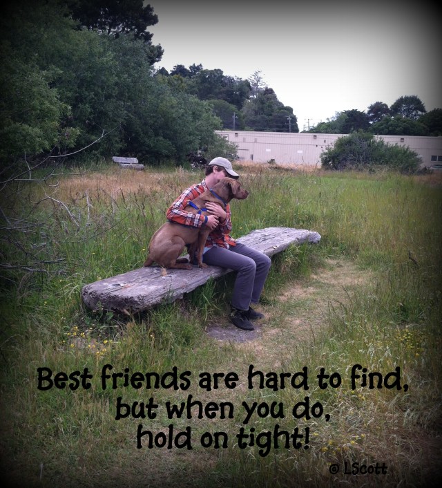 Michael Copper card 2013