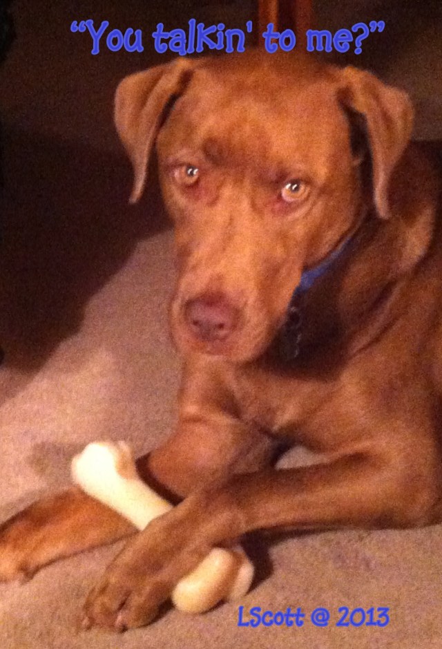 Copper talkin' photo 2013