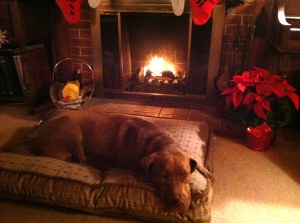 copper by fireplace at Xmas