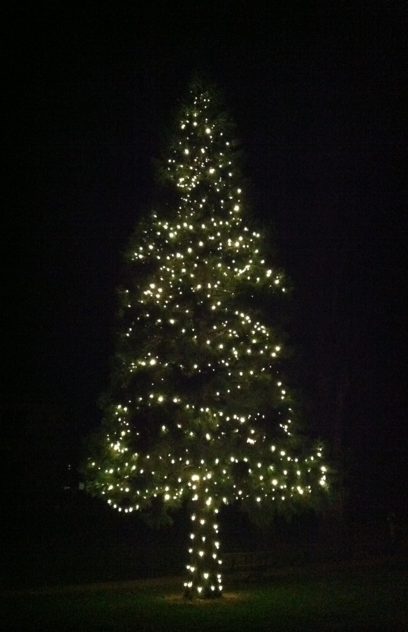 Christmas tree Michael took