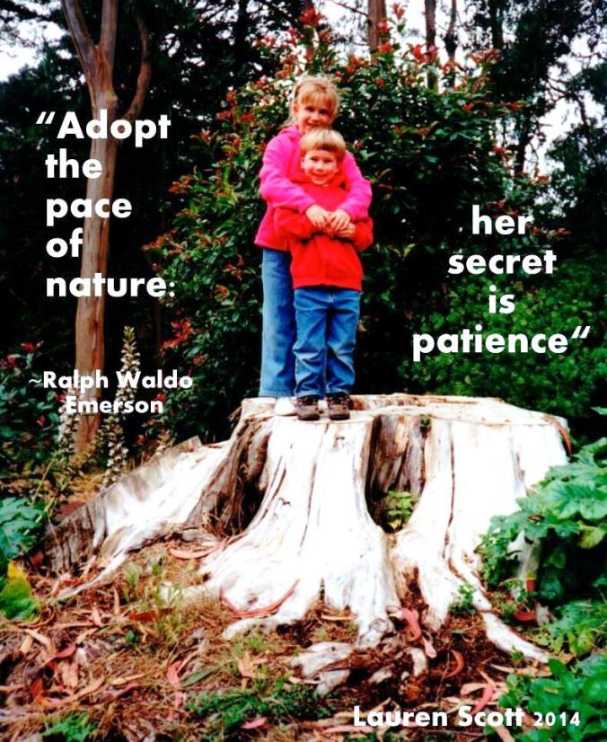 1999 Golden Gate park picassa 2014