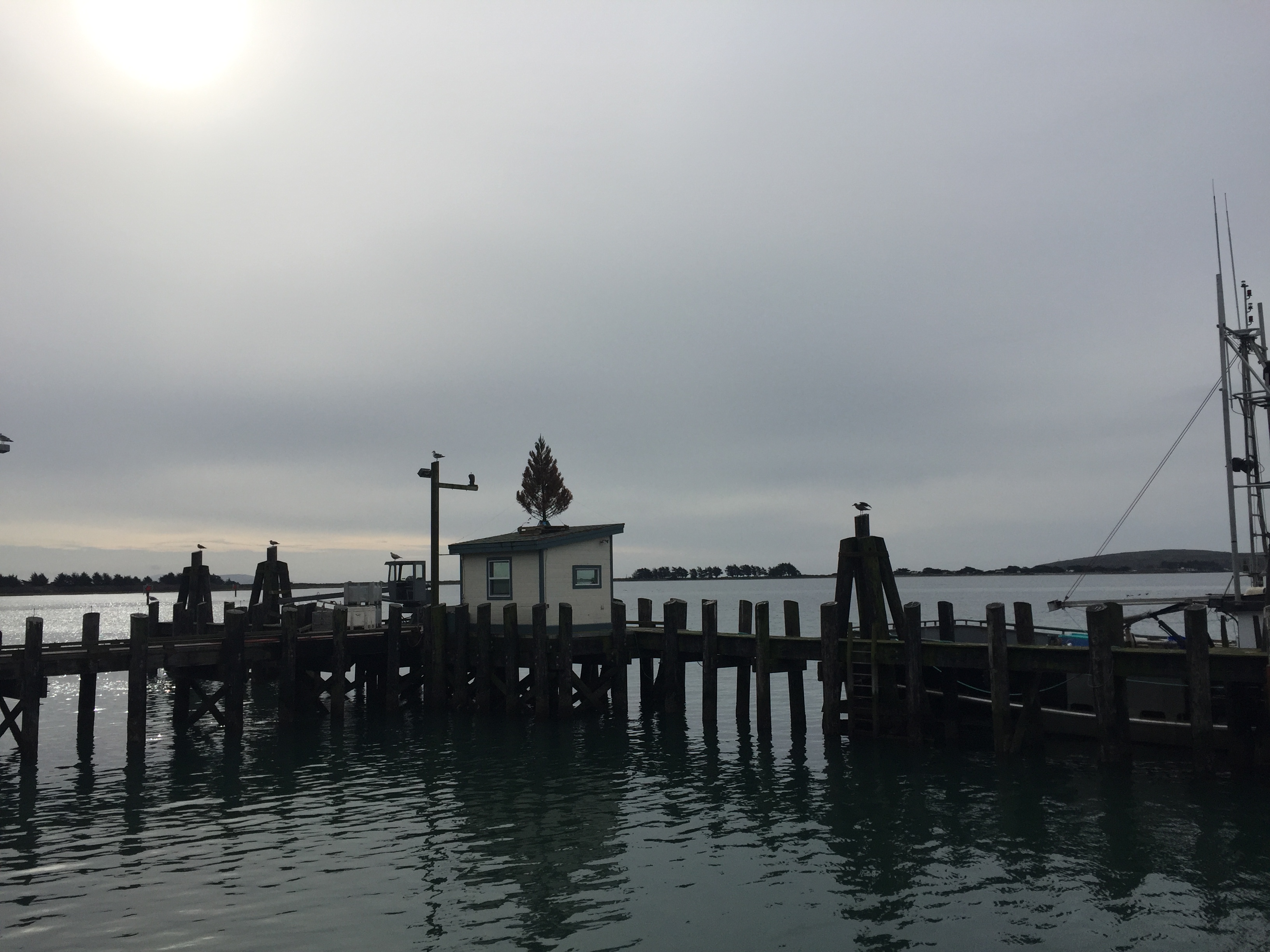 taken from deck at The Tides Wharf Restaurant (1)