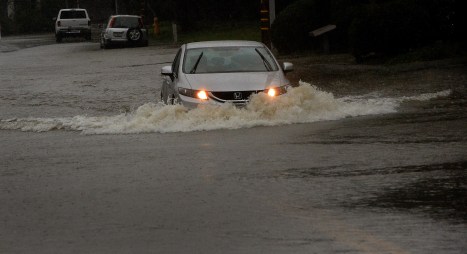 storm by Robert Tong