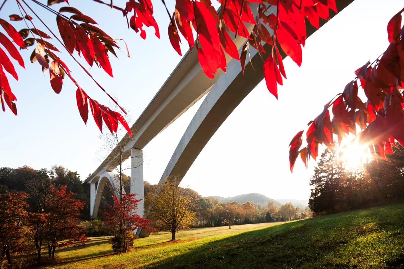 The Natchez Trace Parkway Bridge – Baydreamer Writes ~ Lauren Scott ...
